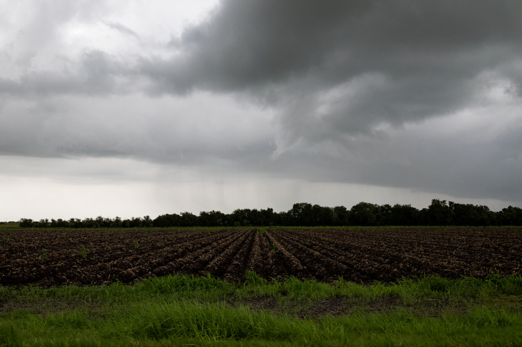 Summer weather